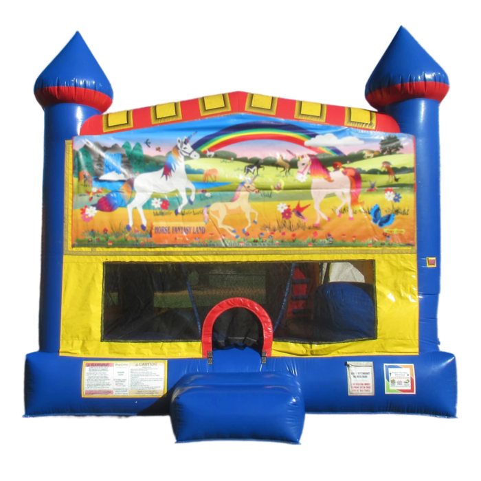 Themed 5-in-1 Combo rental